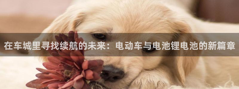tp钱包下载教程