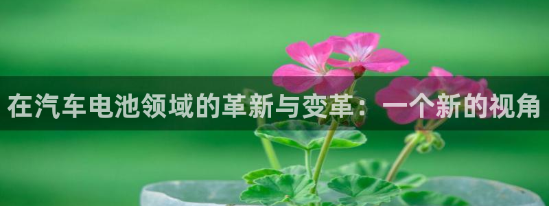 tp钱包有人工客服吗怎么打