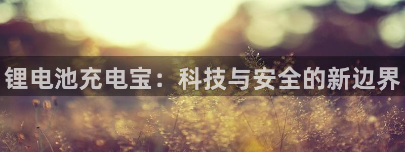 tp钱包app里浏览器不能用了怎么办