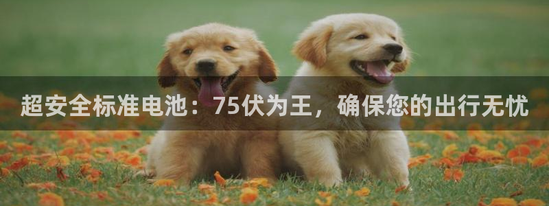 tp钱包交易数据不更新