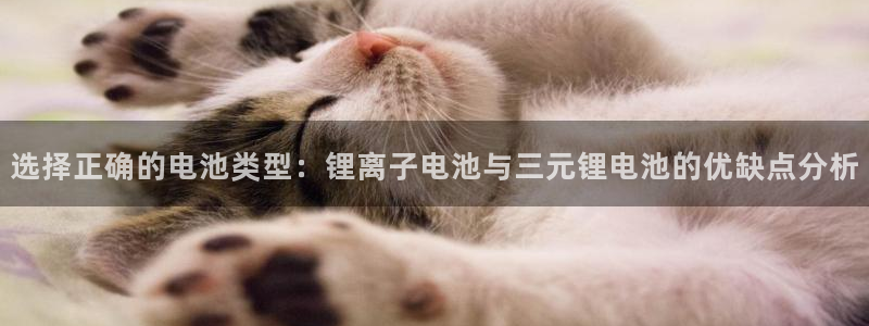 钱包tp进入闪退