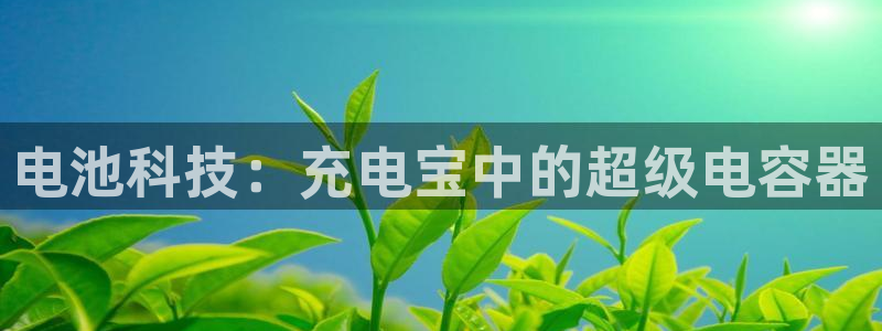 TP钱包如何创建观察钱包