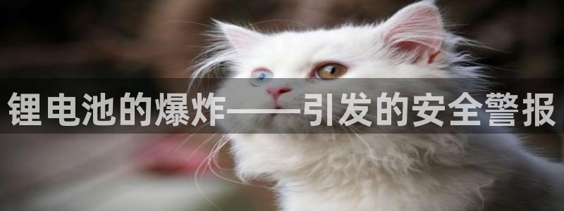 tp钱包的cpu不足