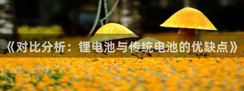 tplink怎么安装