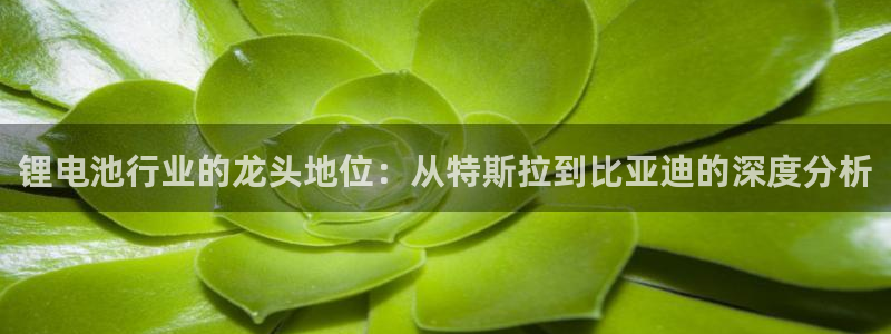 tp钱包被盗追回的几率大吗知乎