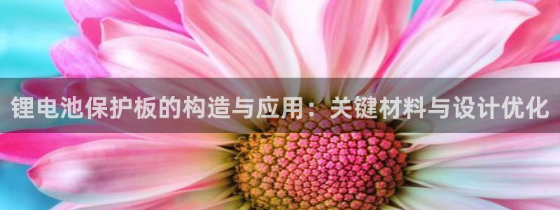 tp钱包下载不了了