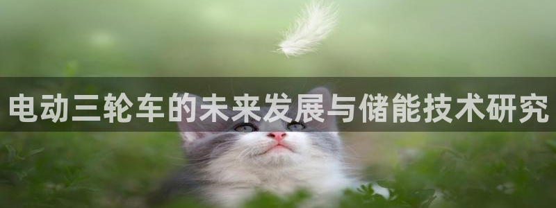 tp钱包冷钱包会被盗吗