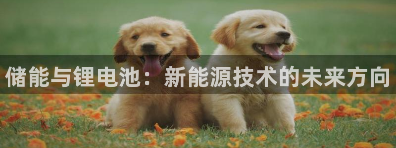 tp钱包的dai被锁定