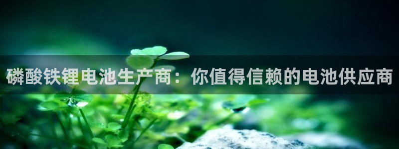 usdt转到tp钱包