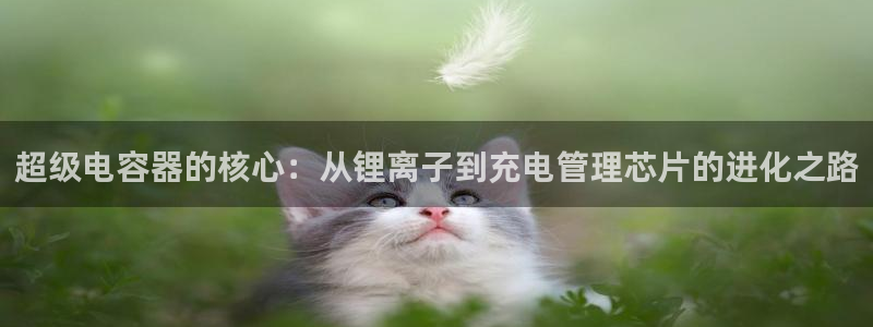 tp钱包币资料怎么看