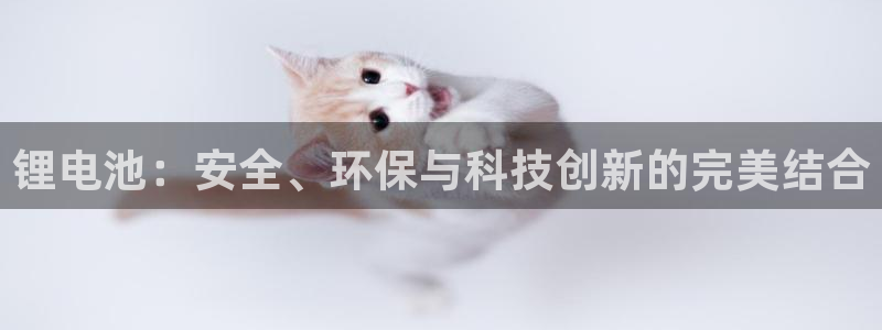 TP钱包官方服务热线