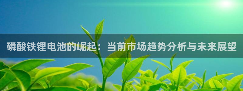 tp官方下载安卓最新版本2025