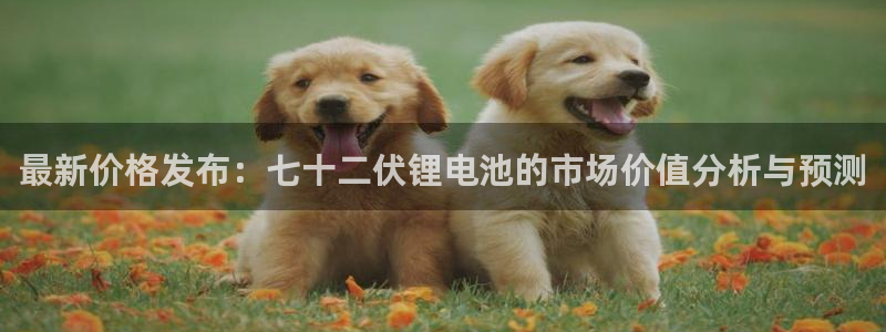 tp观察钱包怎么看