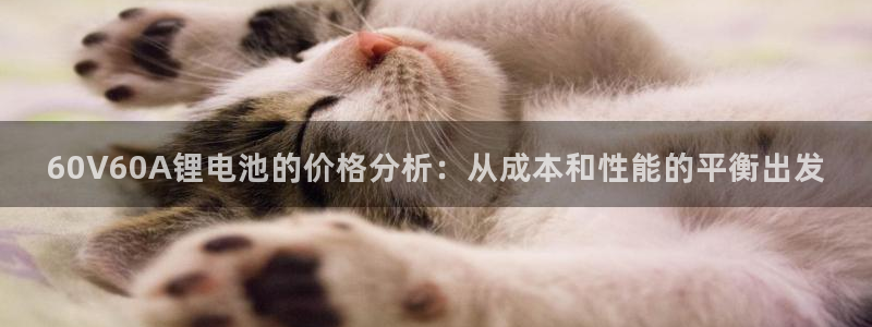 tp钱包的作用