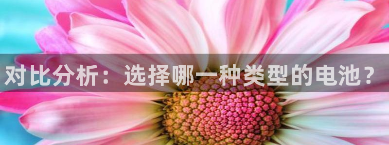 怎么在tp钱包里买usdt