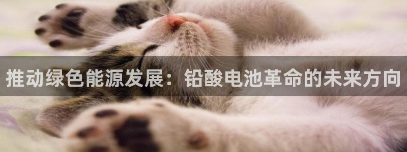 tp钱包trx挖矿