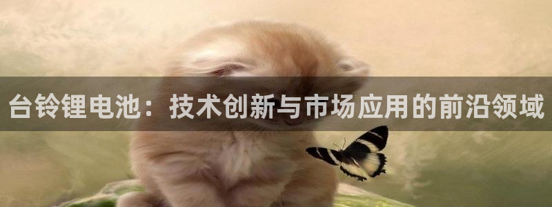 为什么我的tp钱包会多币