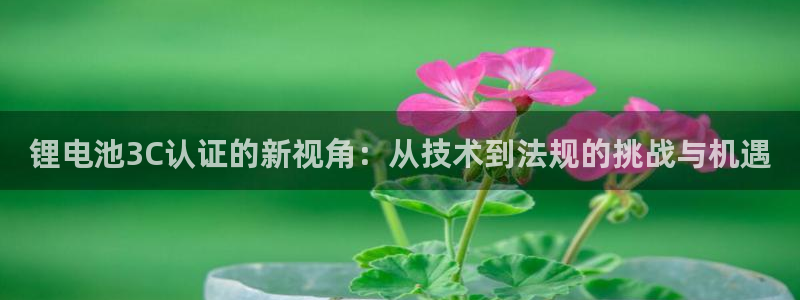tp钱包下载手机版
