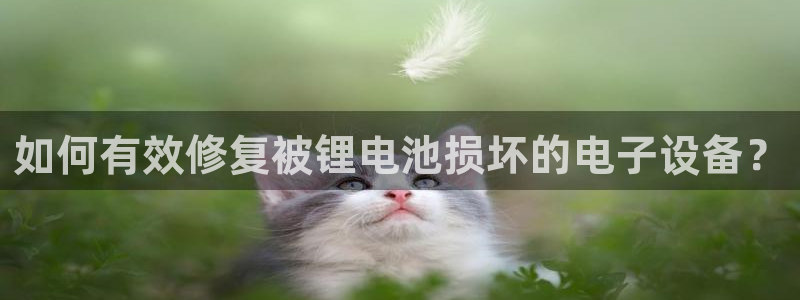 tp钱包删除了怎么办