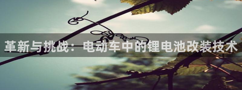 tp钱包怎么存币