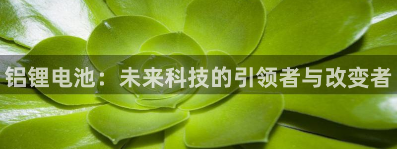 tp钱包官网下载地址