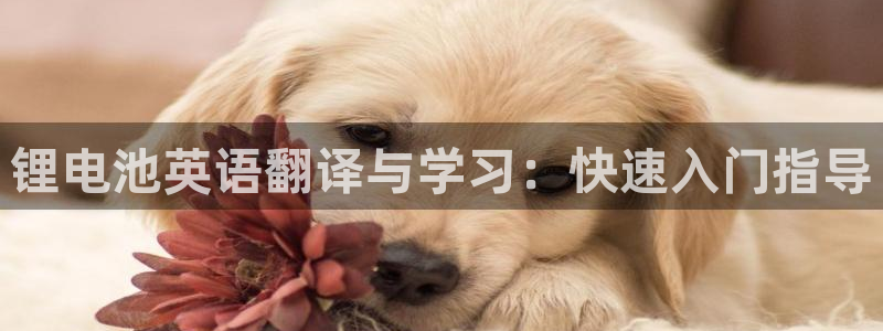 tp钱包添加币种
