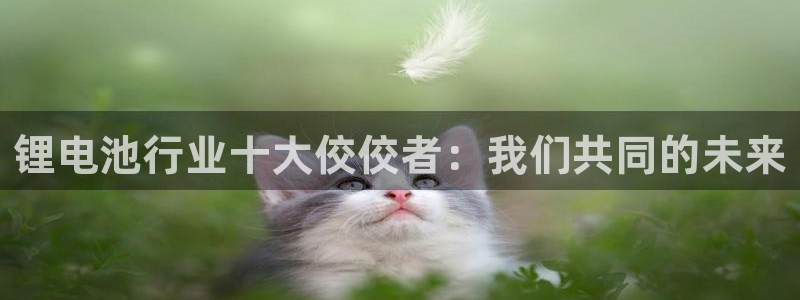 TP钱包WETH能变成ETH M