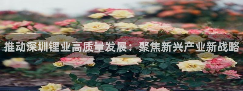 tp钱包可以直接交易吗