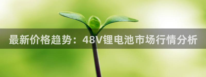tp钱包找回密码