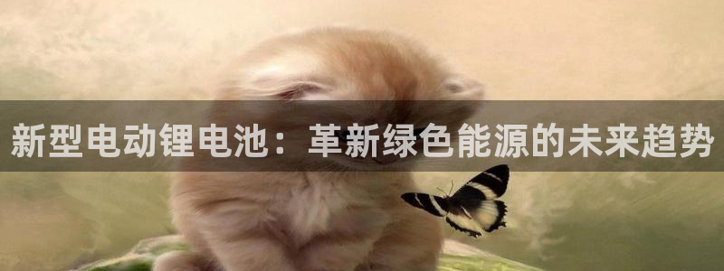 tp钱包怎么找币