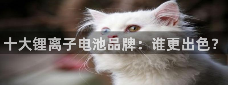 tp钱包很卡