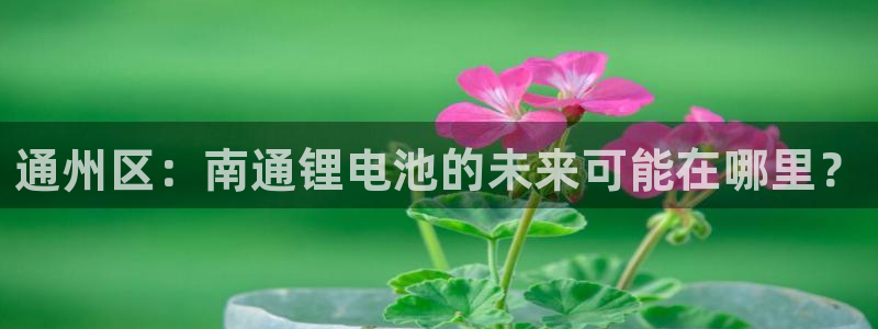 TP钱包怎么用了