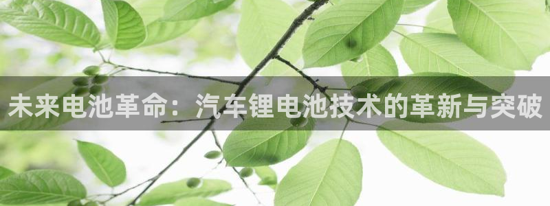 tp钱包上怎么切换以太网络