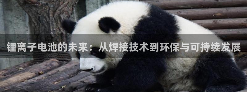 tp钱包用户量有多少个