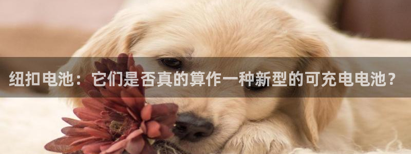 tp钱包下载需要加速器吗